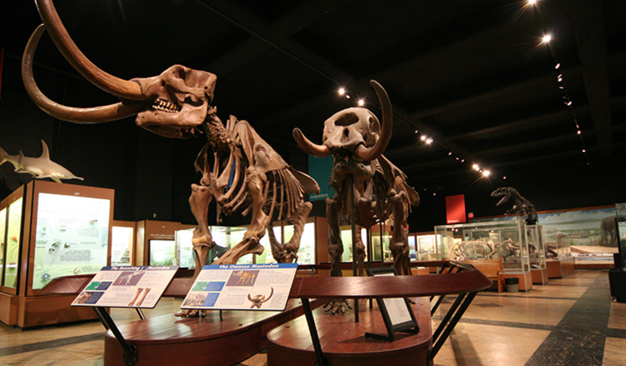 mastodons_UM